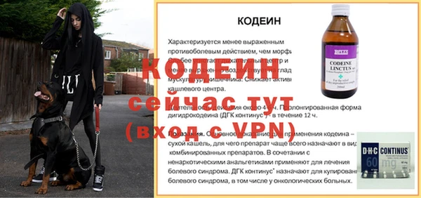 соль ск Пестово