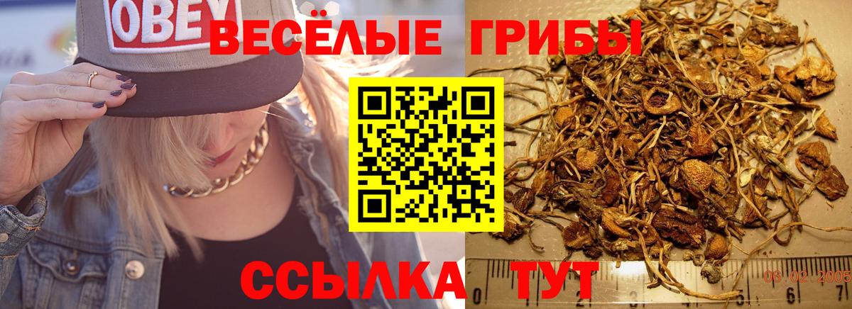 Галлюциногенные грибы Magic Shrooms  продажа наркотиков  Бугуруслан 