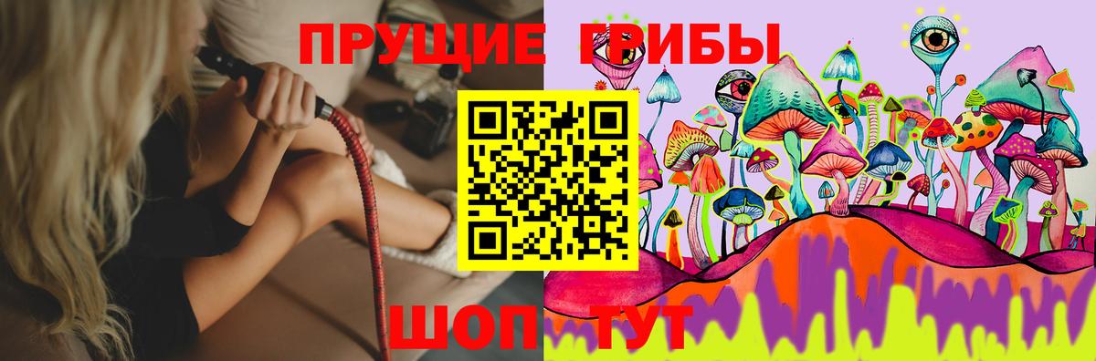 Галлюциногенные грибы Psilocybe Бугуруслан